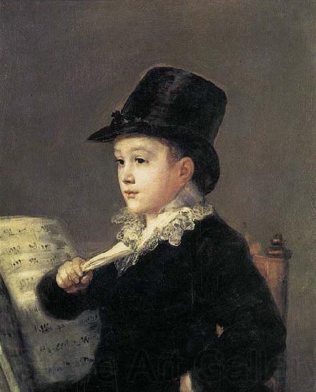 Francisco Jose de Goya Portrait of Mariano Goya, the Artist's Grandson Norge oil painting art